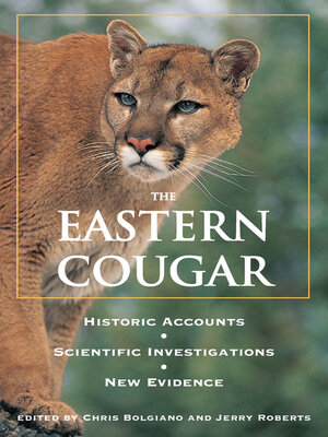 cover image of Eastern Cougar